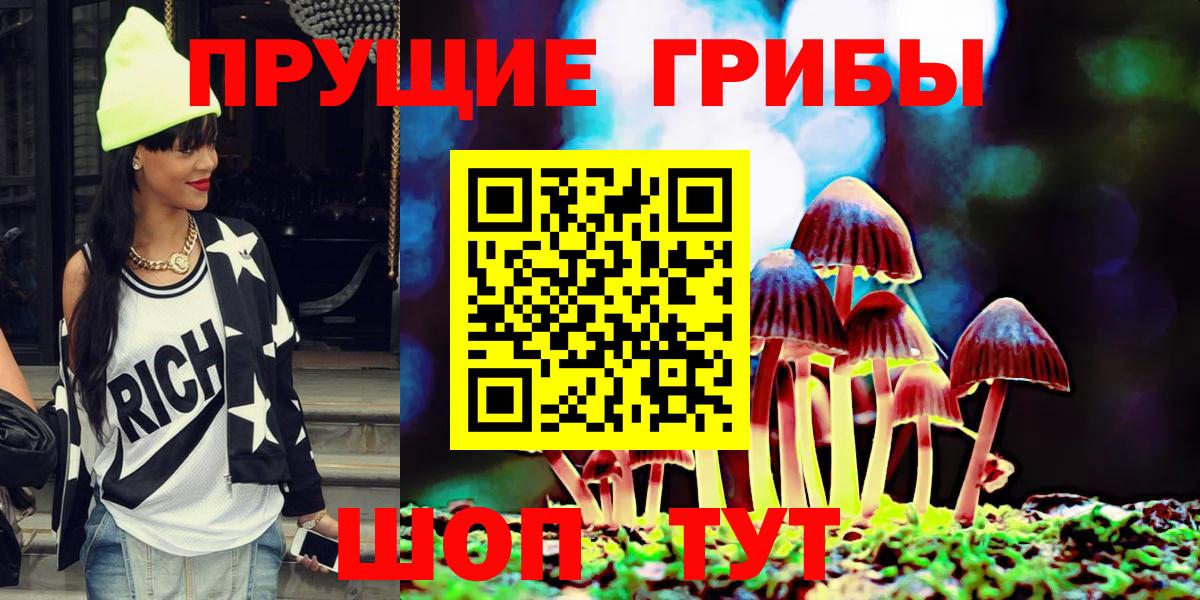 Псилоцибиновые грибы Psilocybe Рыбинск