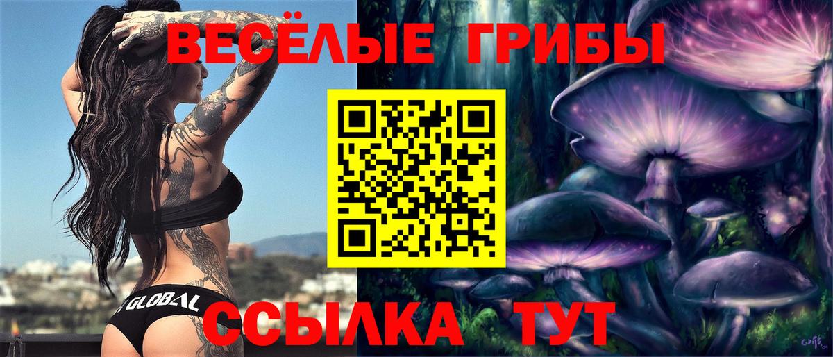 Рыбинск  Псилоцибиновые грибы Psilocybine cubensis  Вход с VPN  Галлюциногенные грибы прущие грибы 